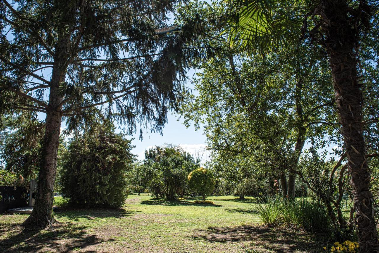 Terre Etrusche Guest House-Terme -3 Minuti Da Viterbo Centro المظهر الخارجي الصورة